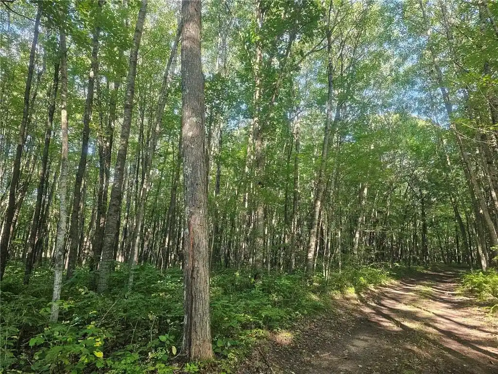 Photo 3 of Land for sale at Lot 2 County Rd A, Webster, WI 54893 | MLS# 1594984 | Listing updated on 2026-08-27