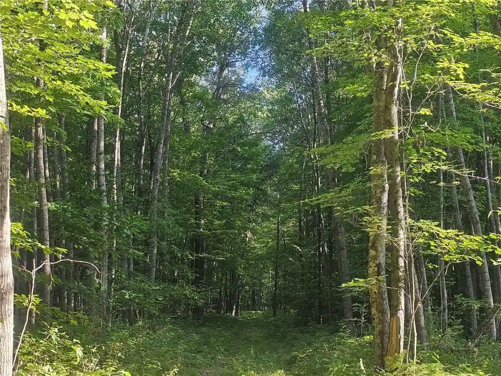 Photo 1 of Land for sale at Lot 3 County Rd A, Webster, WI 54893 | MLS# 1595028 | Listing updated on 2026-08-27