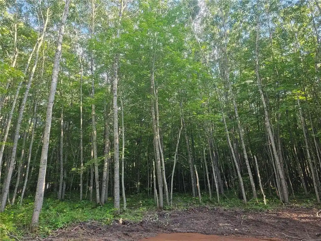 Photo 4 of Land for sale at Lot 3 County Rd A, Webster, WI 54893 | MLS# 1595028 | Listing updated on 2026-08-27