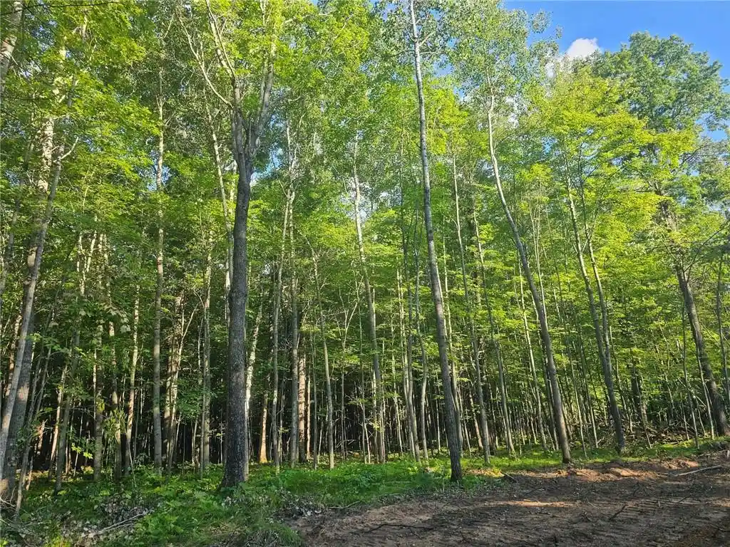 Photo 1 of Land for sale at Lot 4 County Rd A, Webster, WI 54893 | MLS# 1595049 | Listing updated on 2026-08-27