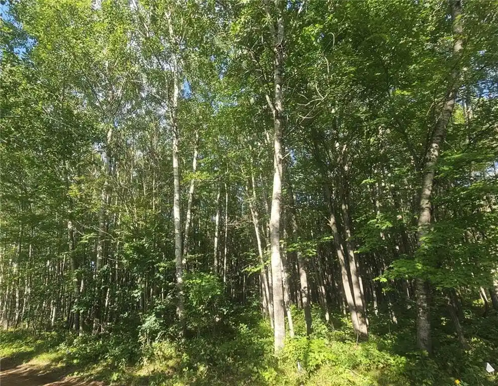 Photo 3 of Land for sale at Lot 4 County Rd A, Webster, WI 54893 | MLS# 1595049 | Listing updated on 2026-08-27