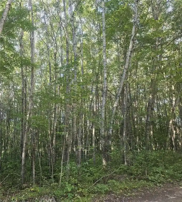 Photo 4 of Land for sale at Lot 4 County Rd A, Webster, WI 54893 | MLS# 1595049 | Listing updated on 2026-08-27