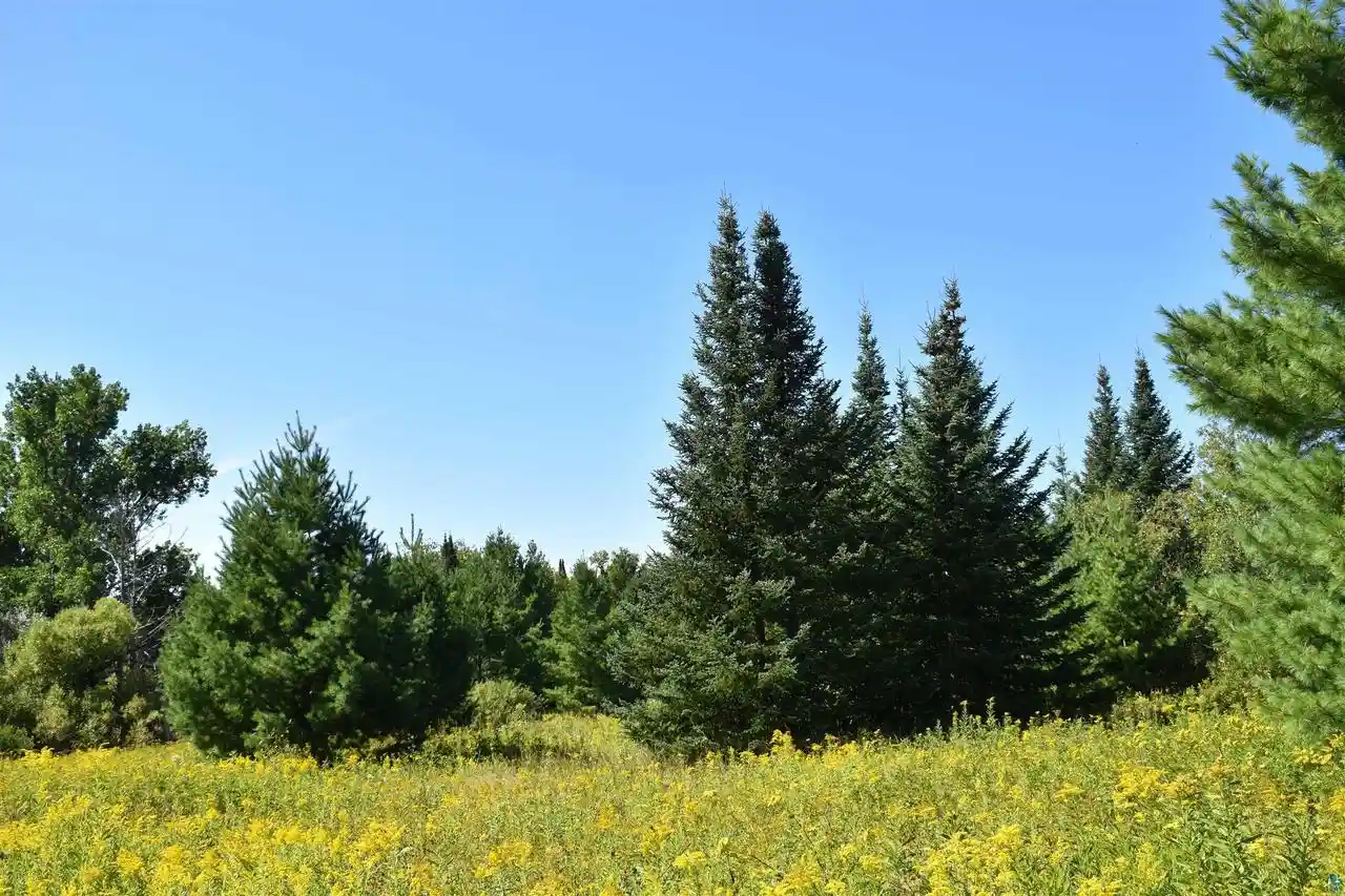 Photo 2 of Land for sale at 30210 Wannebo Rd Rd, Washburn, WI 54891 | MLS# 6121626 | Listing updated on 2026-08-18