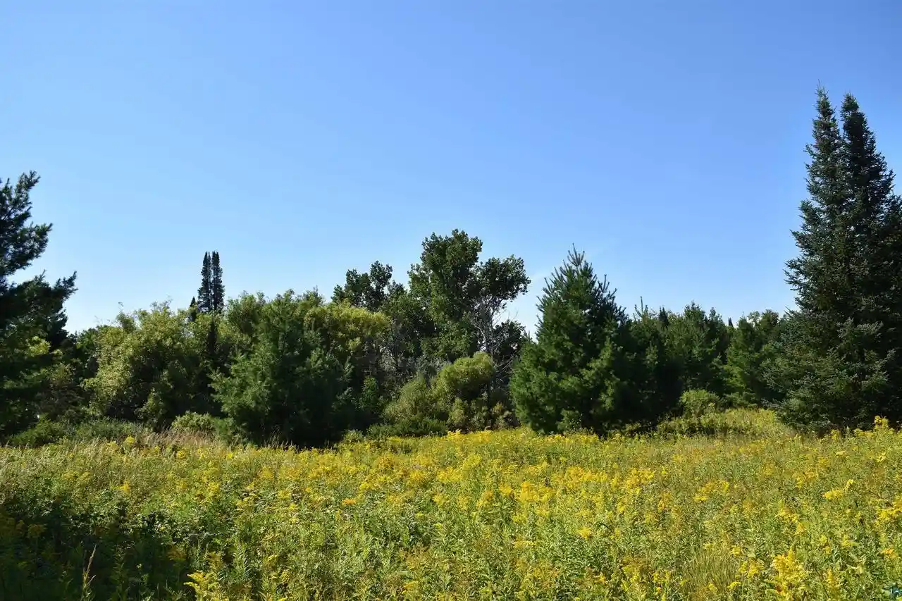 Photo 4 of Land for sale at 30210 Wannebo Rd Rd, Washburn, WI 54891 | MLS# 6121626 | Listing updated on 2026-08-18