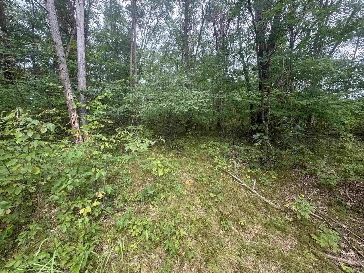 Homes for sale in Shawano, WI | Knollwood Court Court, Shawano, WI 54166 | MLS# 50314383