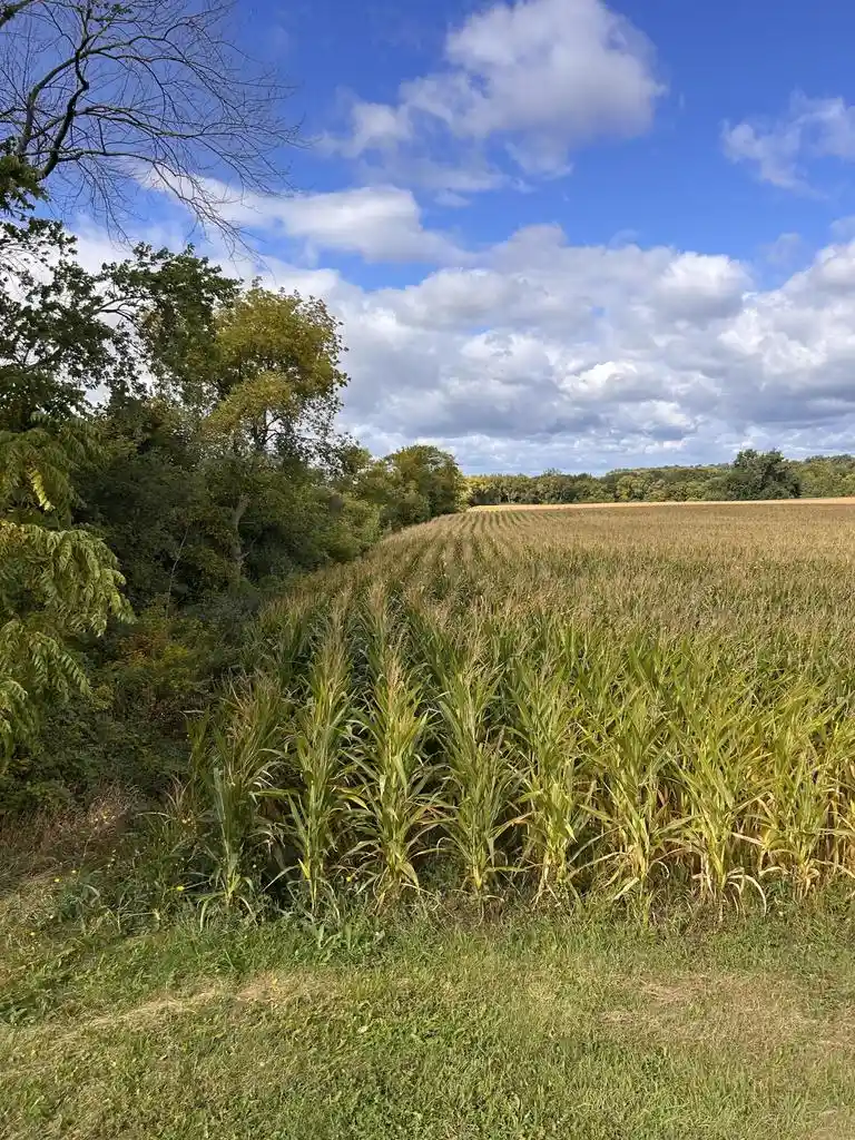 Homes for sale in Bristol, WI | 0 144Th Avenue Avenue, Bristol, WI 53104 | MLS# 1934157