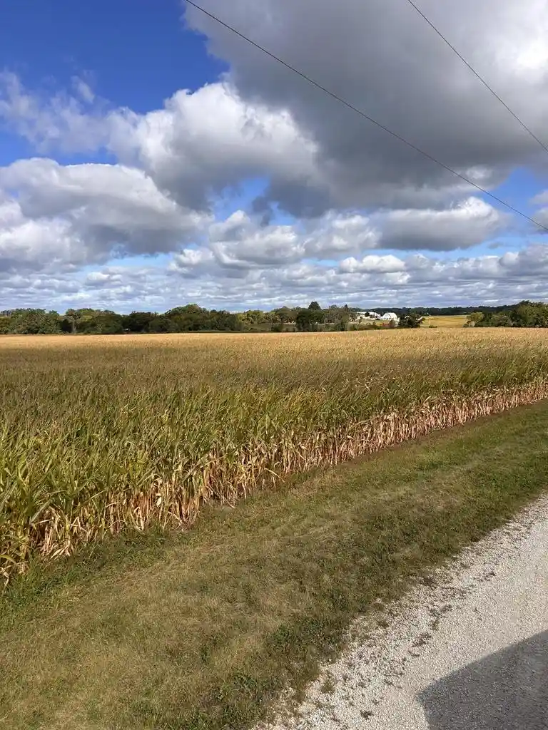 Homes for sale in Bristol, WI | 0 144Th Avenue Avenue, Bristol, WI 53104 | MLS# 1934157