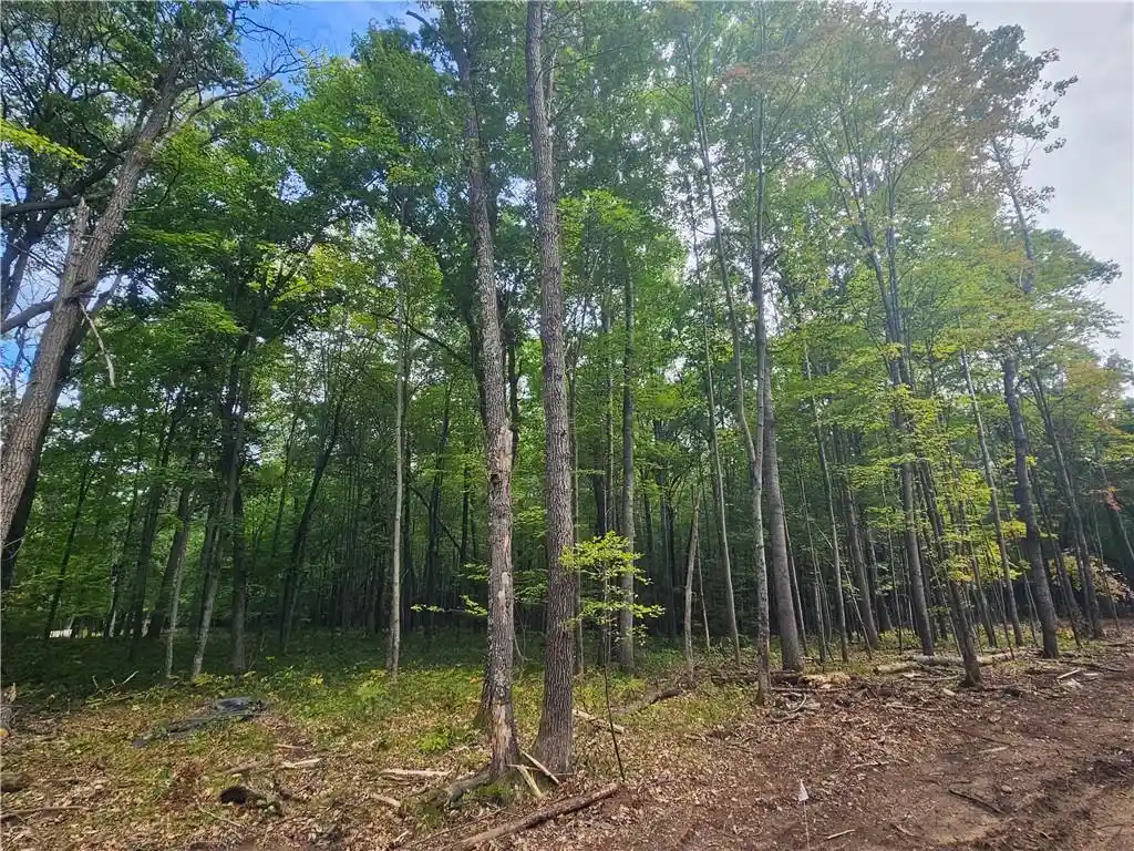 Photo 1 of Land for sale at Lot 5 County Rd A, Webster, WI 54893 | MLS# 1595352 | Listing updated on 2026-08-27