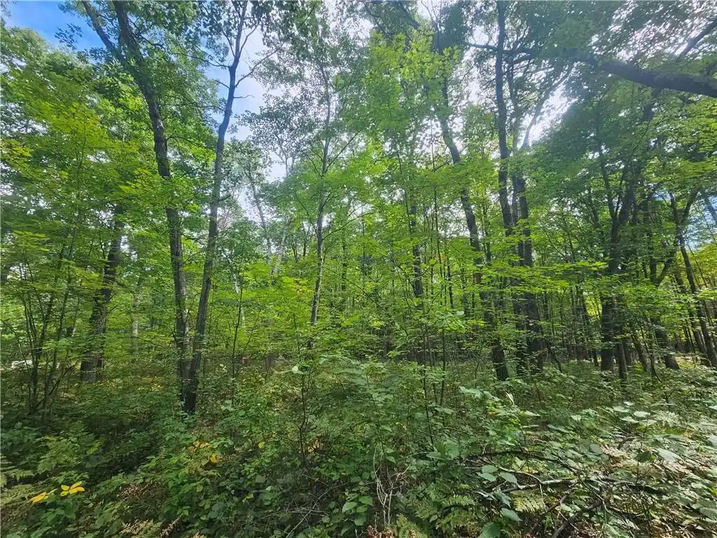 Photo 3 of Land for sale at Lot 5 County Rd A, Webster, WI 54893 | MLS# 1595352 | Listing updated on 2026-08-27