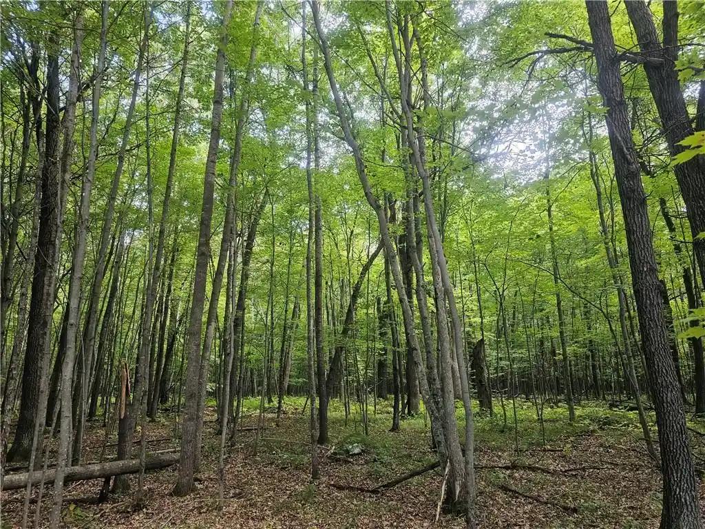 Photo 1 of Land for sale at Lot 6 County Rd A, Webster, WI 54893 | MLS# 1595371 | Listing updated on 2026-08-27