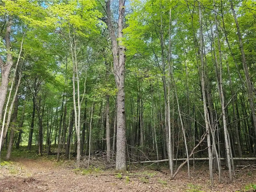 Photo 3 of Land for sale at Lot 6 County Rd A, Webster, WI 54893 | MLS# 1595371 | Listing updated on 2026-08-27