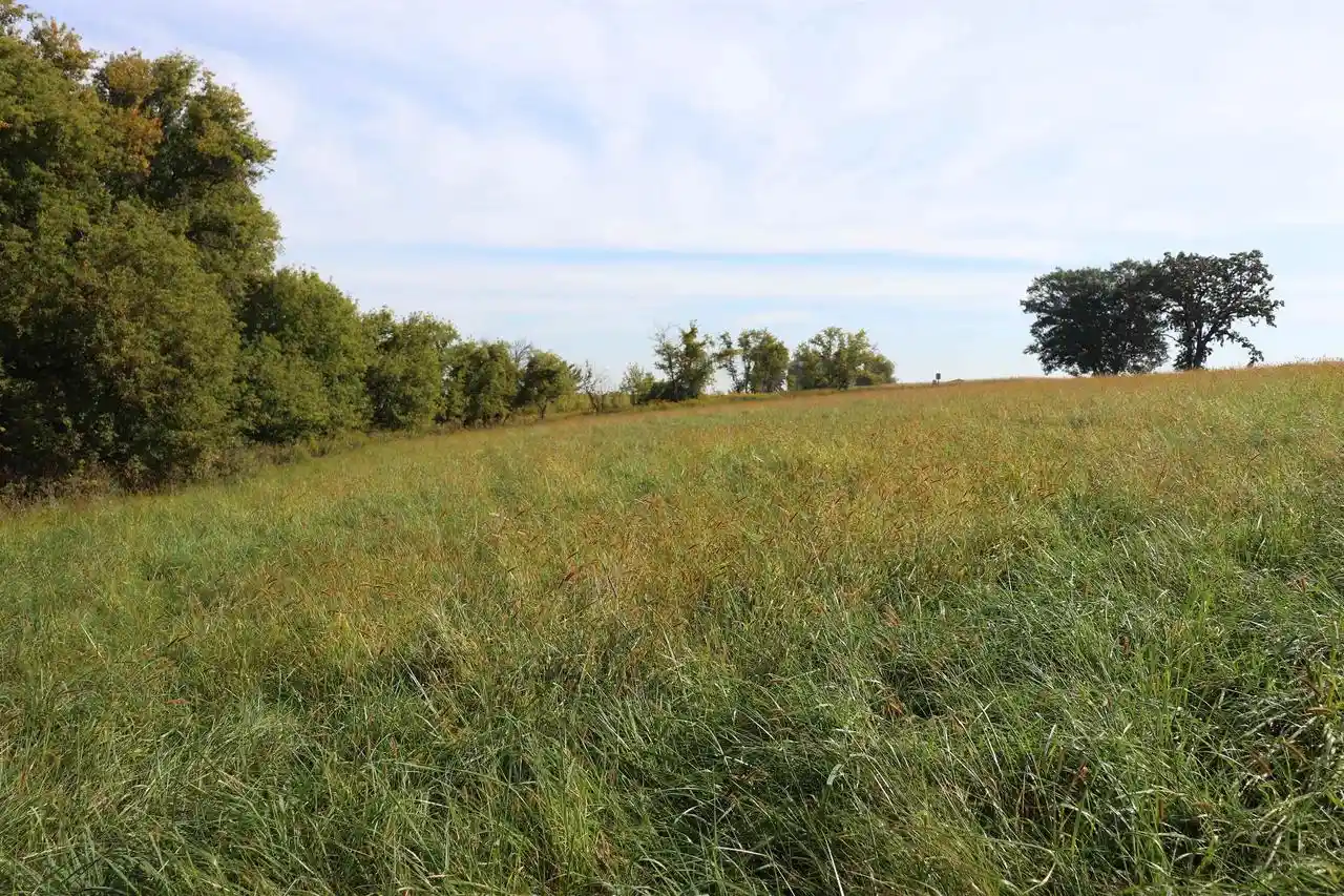 3rd image of 1054 Acres County Road D, Fall River, WI 53932 | MLS# 2008729