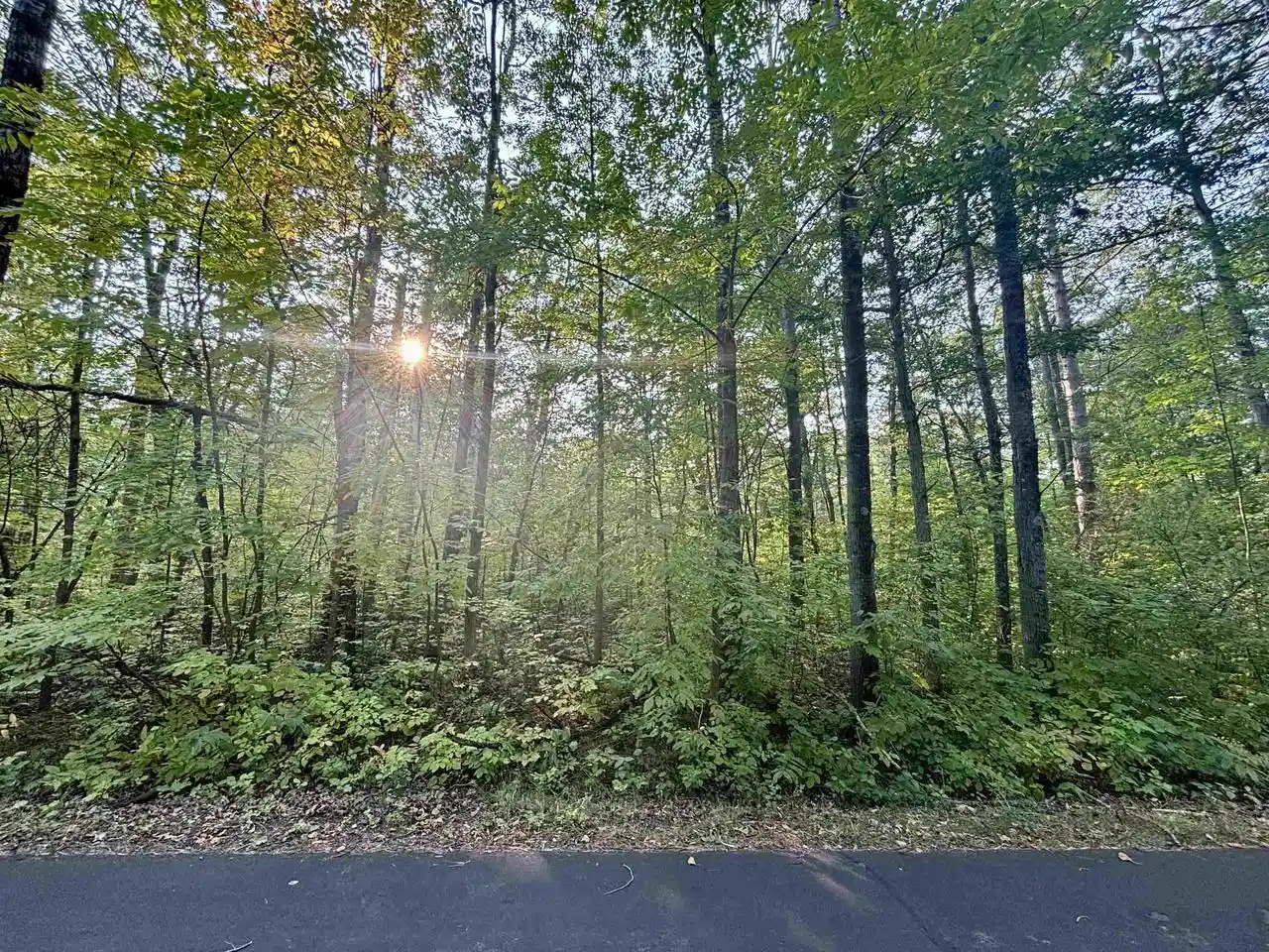 Homes for sale in Hayward, WI | 55a On Scipio Ave Ave, Hayward, WI 54843 | MLS# 22504465