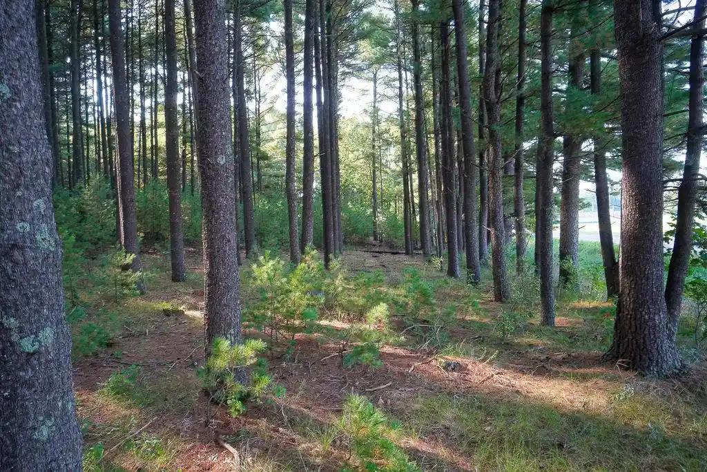 3rd image of Lot 3 And 4 Cty Road A, Wisconsin Dells, WI 53965 | MLS# 2009430