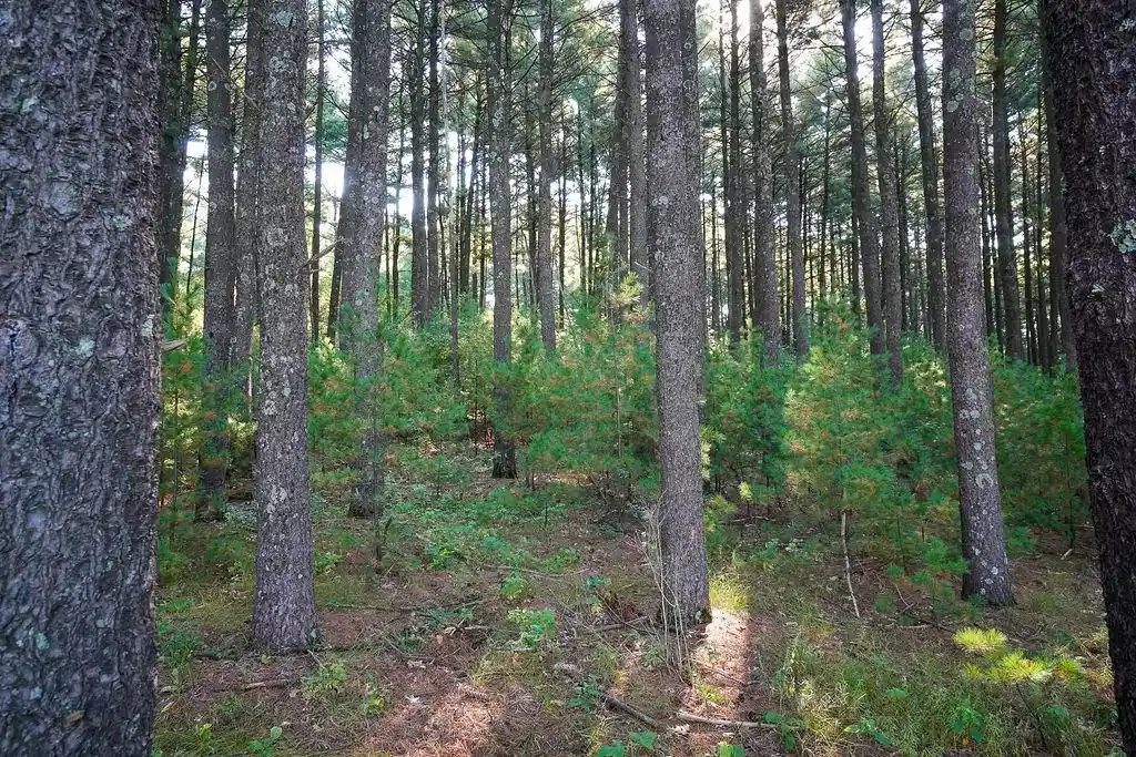 4th image of Lot 3 And 4 Cty Road A, Wisconsin Dells, WI 53965 | MLS# 2009430