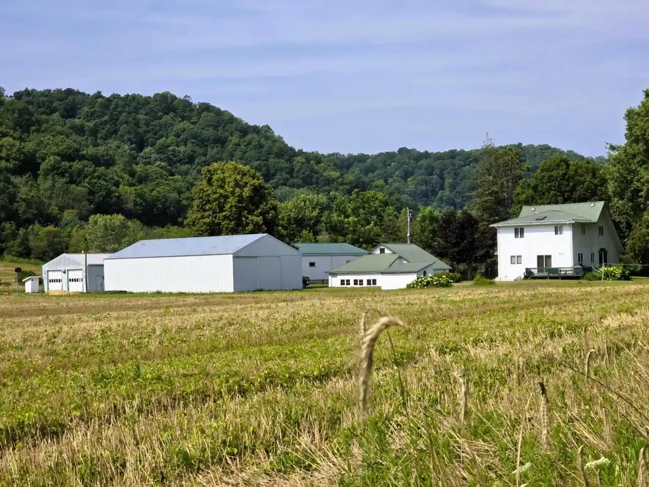 Homes for sale in Gays Mills, WI | 47298 Honey Farm Road Road, Gays Mills, WI 54631 | MLS# 2009503