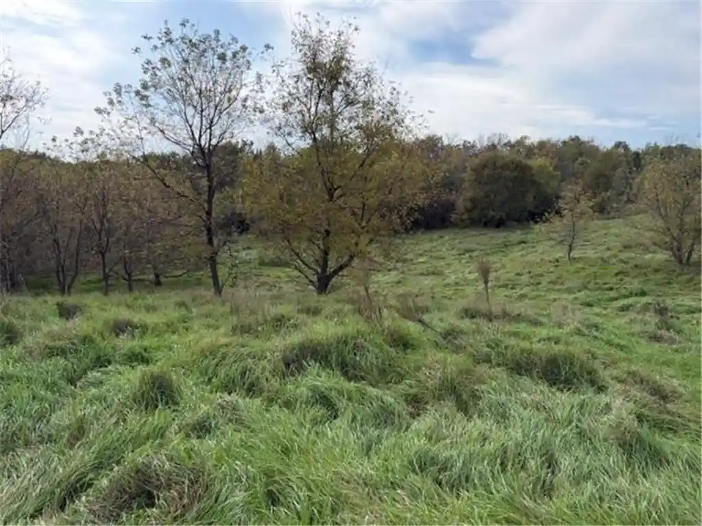 Homes for sale in New Richmond, WI | Lot 6 220Th Ave, New Richmond, WI 54017 | MLS# 6797673