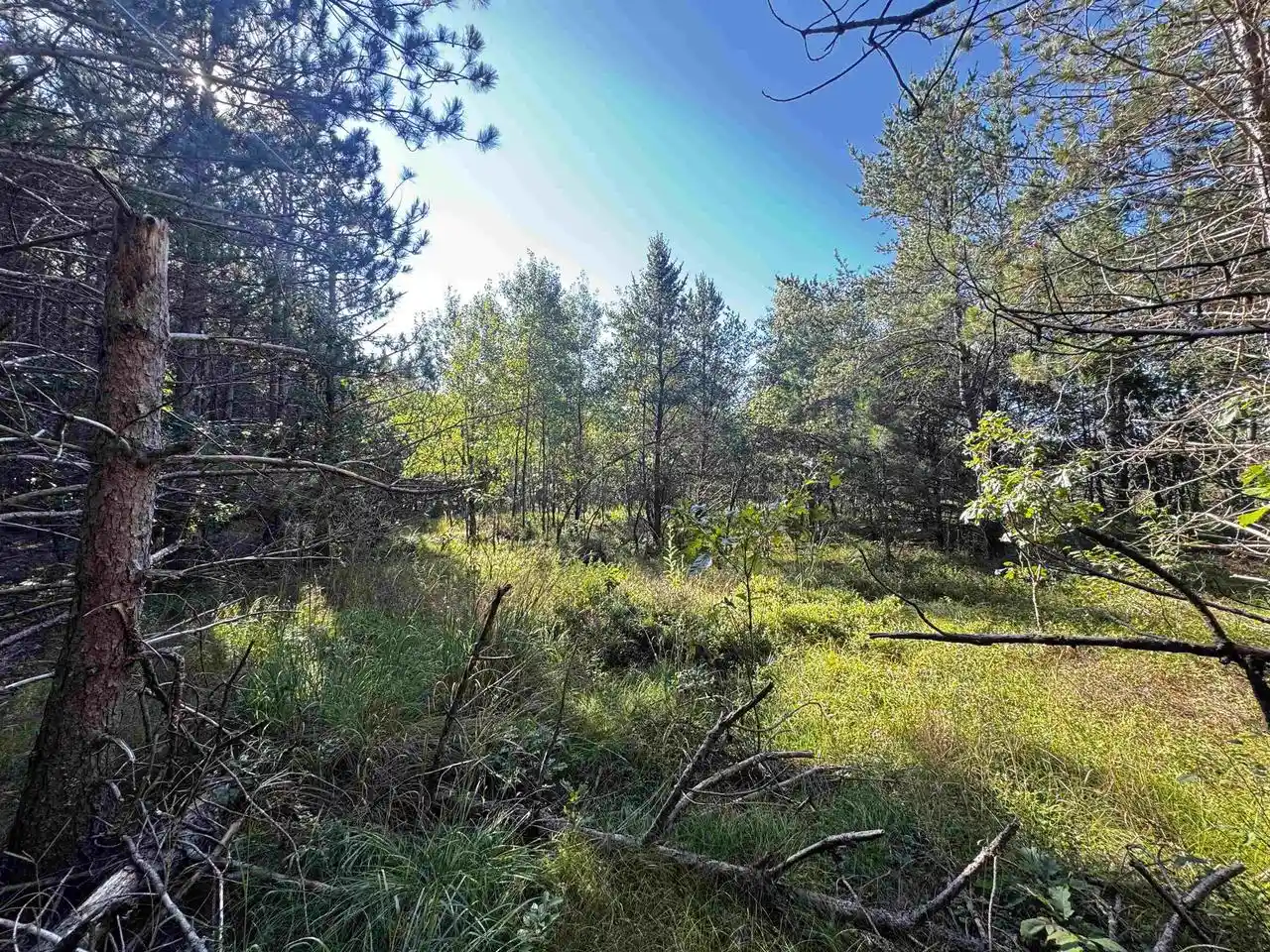 Photo 3 of Sale Pending at 80 Ac 9th Acres Acres, Adams, WI 53910 | MLS# 2009944 | Listing updated on 2026-09-23