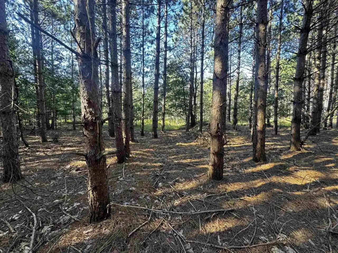 Photo 4 of Sale Pending at 80 Ac 9Th Acres Acres, Adams, WI 53910 | MLS# 2009944 | Listing updated on 2026-09-23