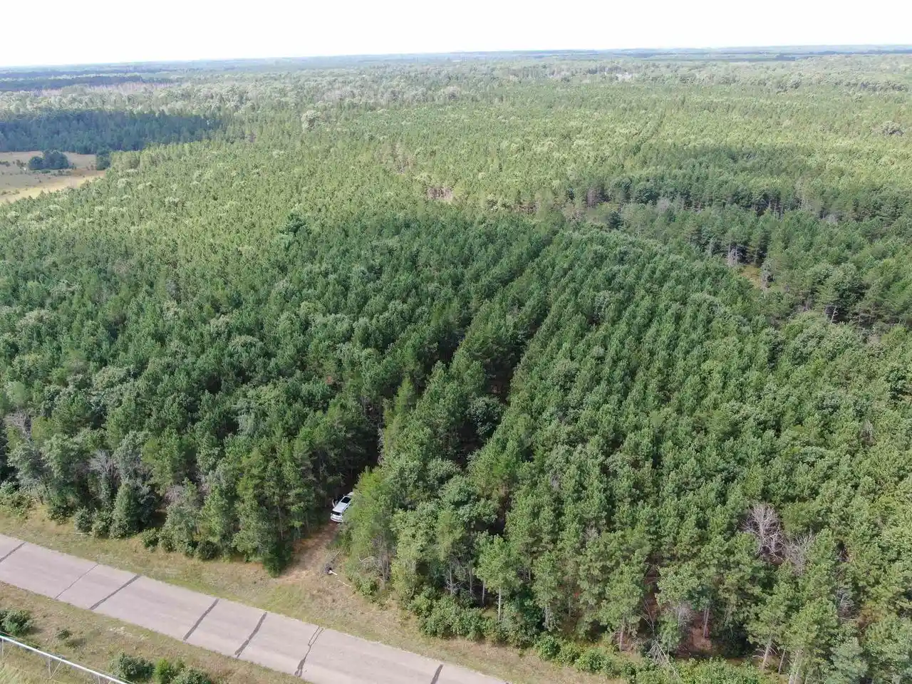 Homes for sale in Arkdale, WI | 80 Ac 14th Ct Acres Acres, Arkdale, WI 54613 | MLS# 2009960