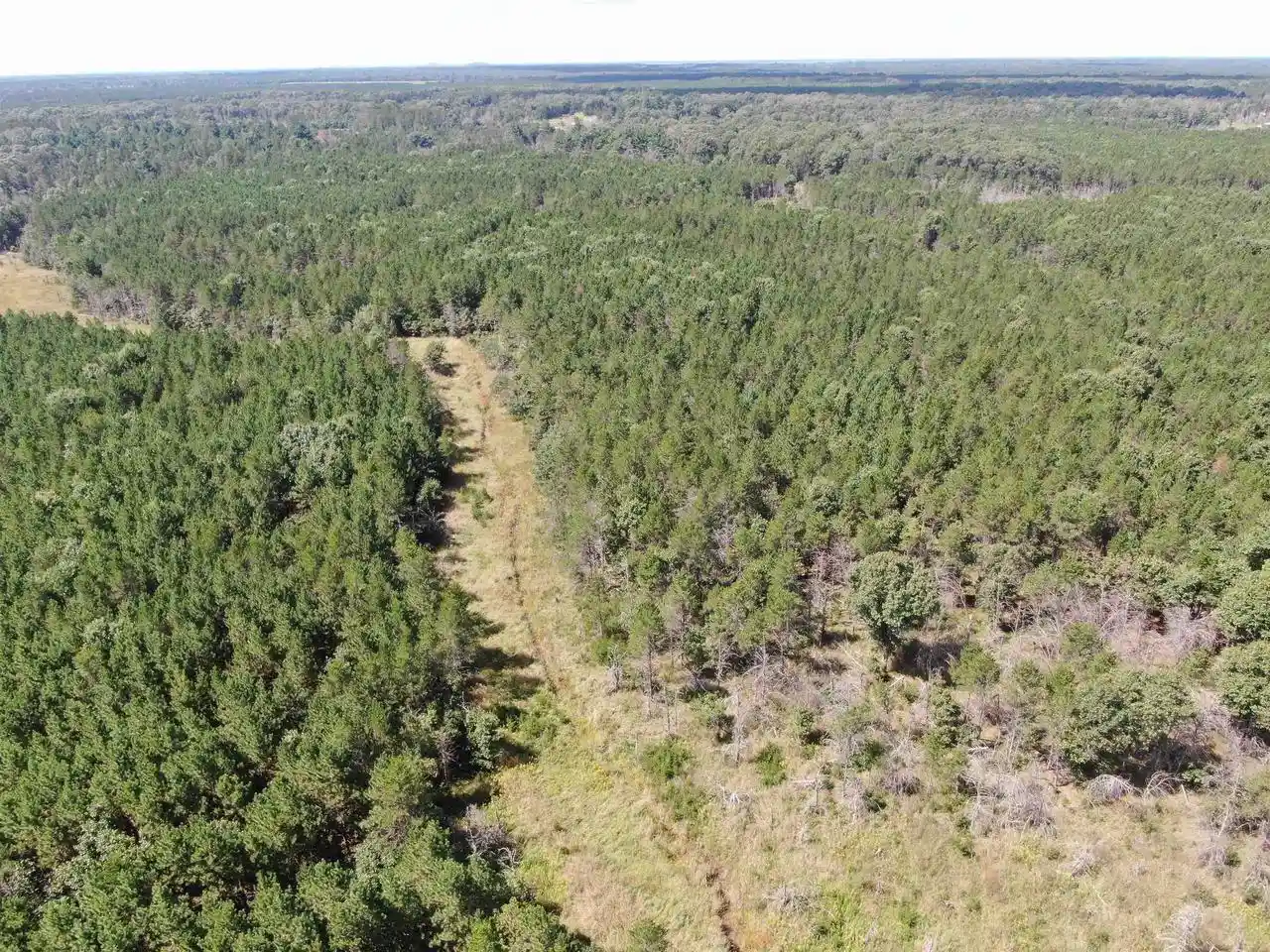 3rd image of 80 Ac 14Th Ct Acres Acres, Arkdale, WI 54613 | MLS# 2009960