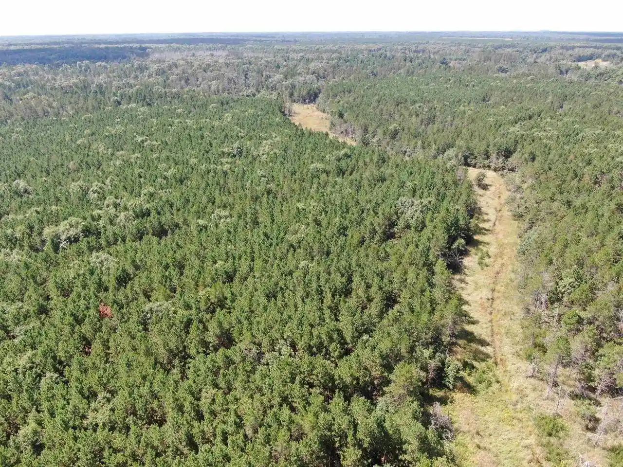 4th image of 80 Ac 14Th Ct Acres Acres, Arkdale, WI 54613 | MLS# 2009960