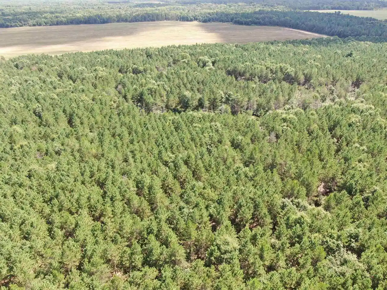 5th image of 80 Ac 14Th Ct Acres Acres, Arkdale, WI 54613 | MLS# 2009960