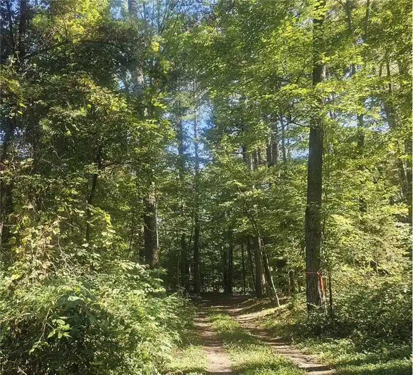 3rd image of Xx E Bass Lake, Webster, WI 54893 | MLS# 1596116