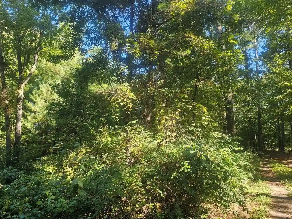 9th image of Xx E Bass Lake, Webster, WI 54893 | MLS# 1596116