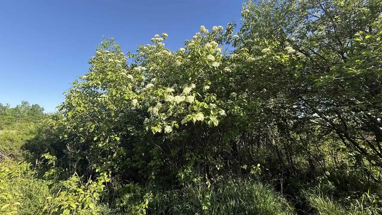 Homes for sale in Ringle, WI | Lot 1 County Road Z, Ringle, WI 54471 | MLS# 22504767
