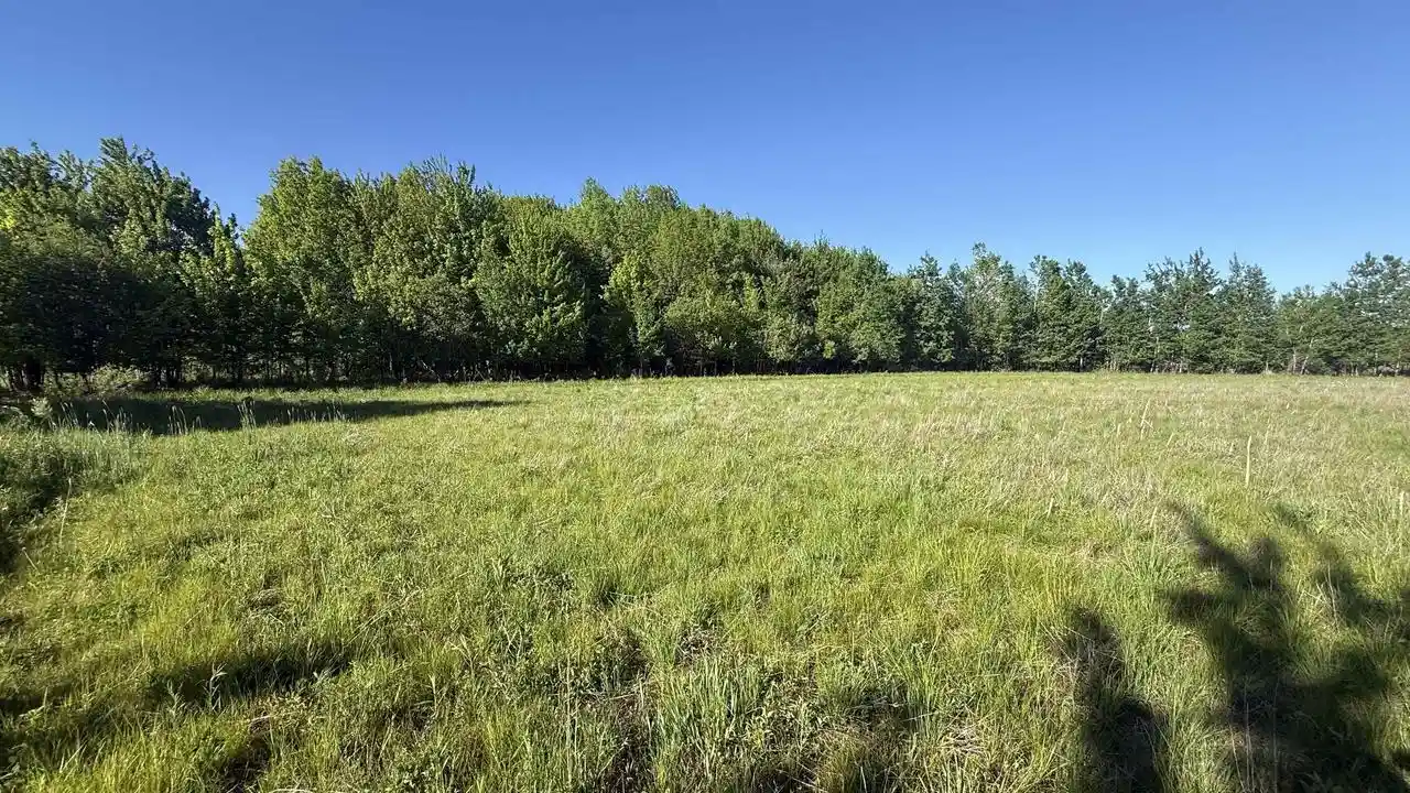 Homes for sale in Ringle, WI | Lot 1 County Road Z, Ringle, WI 54471 | MLS# 22504767