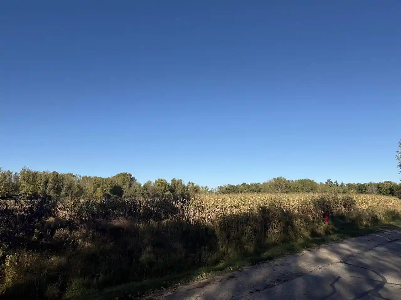 Homes for sale in Shawano, WI | Willow Wood Street Street, Shawano, WI 54929 | MLS# 50316603