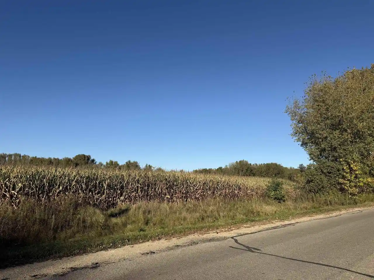 Homes for sale in Shawano, WI | Willow Wood Street Street, Shawano, WI 54929 | MLS# 50316603