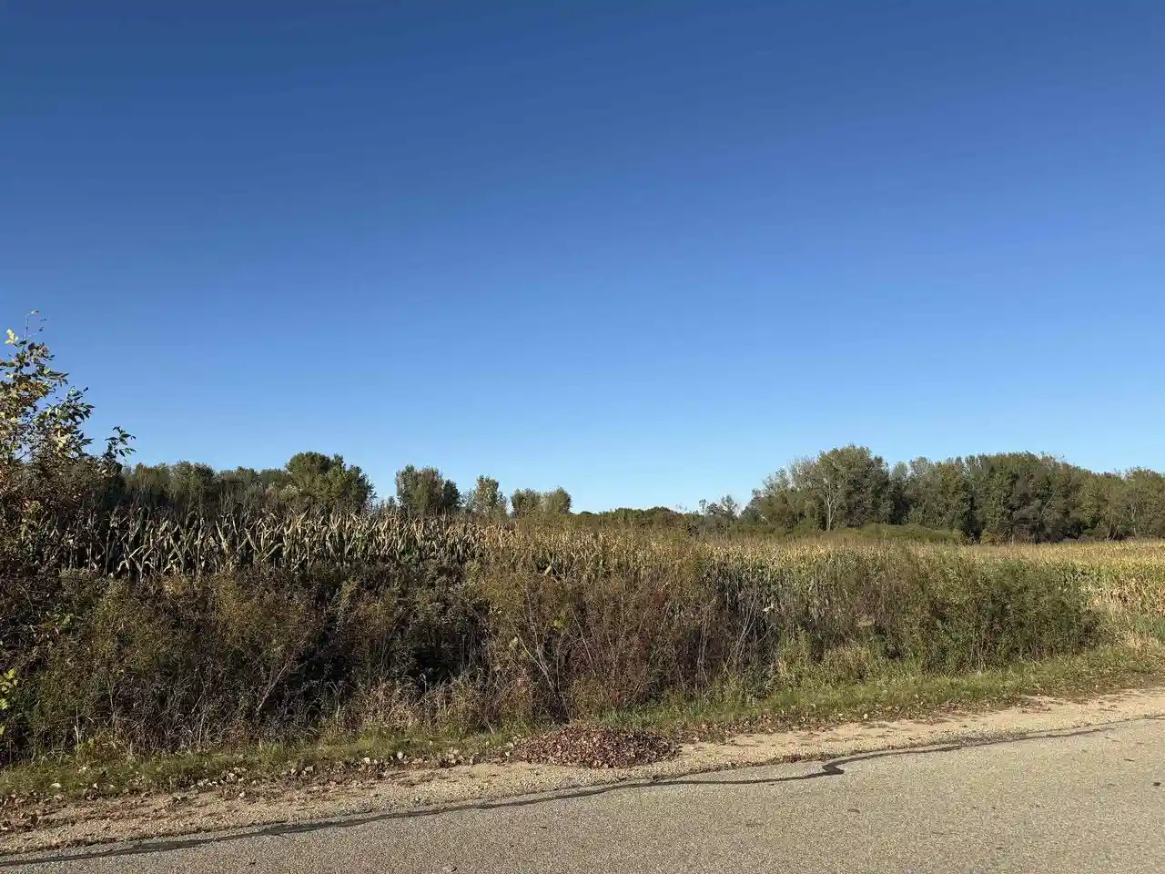 Homes for sale in Shawano, WI | Willow Wood Street Street, Shawano, WI 54929 | MLS# 50316603