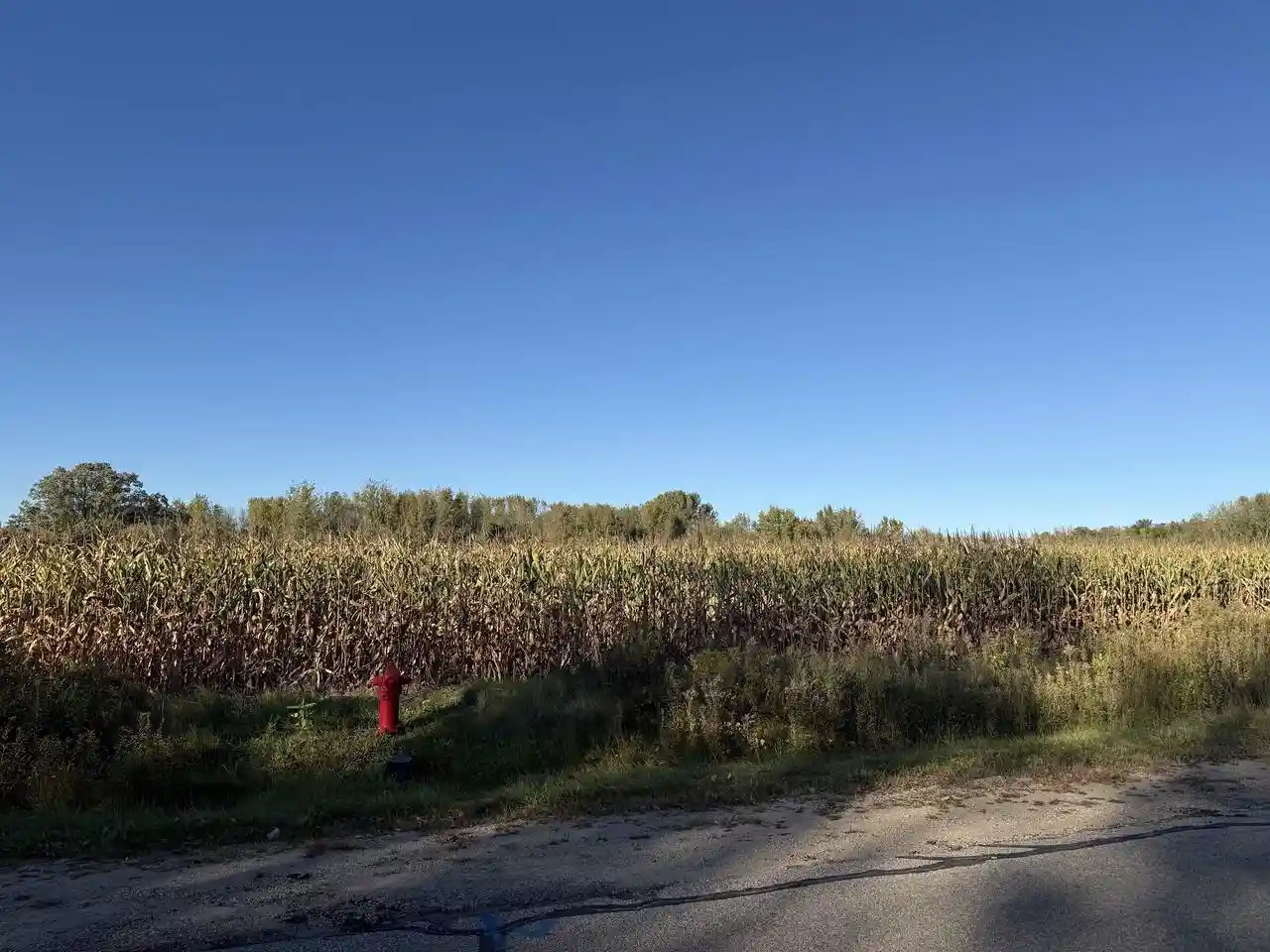 Homes for sale in Shawano, WI | Willow Wood Street Street, Shawano, WI 54929 | MLS# 50316603