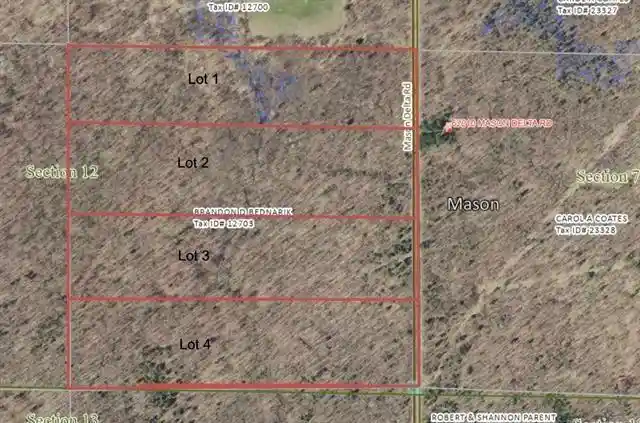 Land for sale at Lot 1 Mason Delta Rd, Delta, WI 54856 | MLS# 1596579