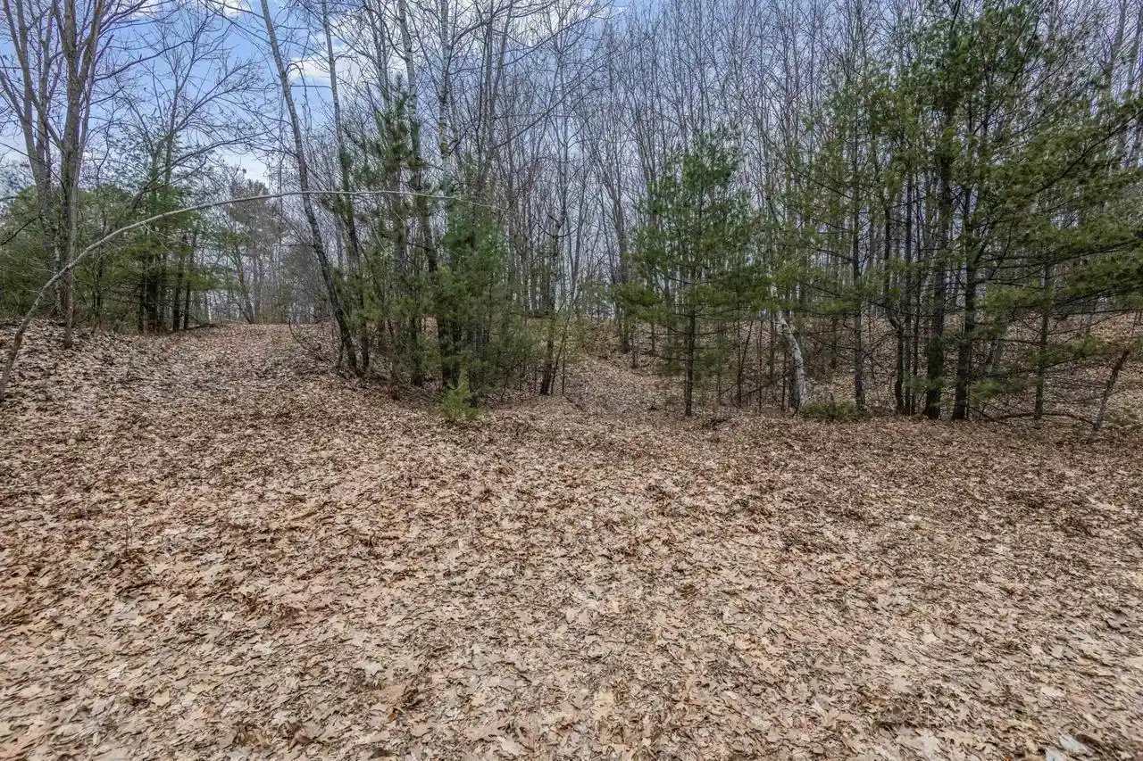 1st image of N White Potato Lake Road Road, Pound, WI 54161 | MLS# 50317023