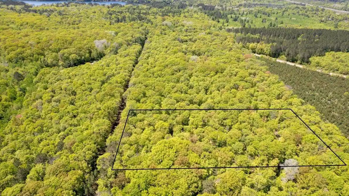 Homes for sale in Iron River, WI | Tbd Lot #4 Tressel Trail Trail, Iron River, WI 54847 | MLS# 6122642