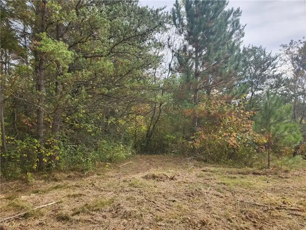 3rd image of Lot 1 & 2 Of Csm 1548 County Road F, Chetek, WI 54728 | MLS# 1596727