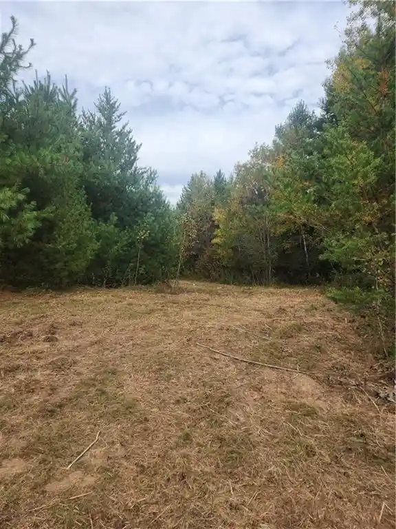 5th image of Lot 1 & 2 Of Csm 1548 County Road F, Chetek, WI 54728 | MLS# 1596727
