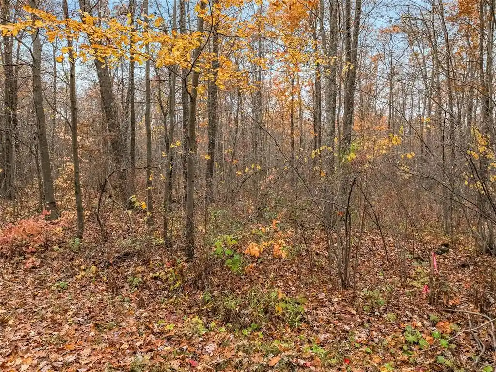 23rd image of 0 Dream Catcher Rd, Hayward, WI 54843 | MLS# 1596678
