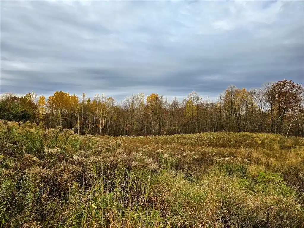 1st image of Xxx County Road D, Colburn, WI 54732 | MLS# 1596710