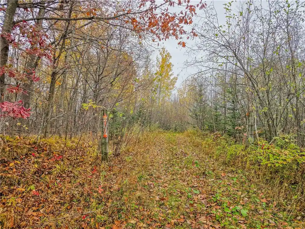 3rd image of Xxx County Road D, Colburn, WI 54732 | MLS# 1596710