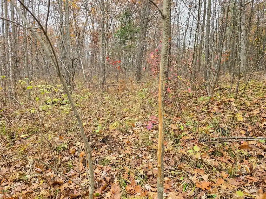4th image of Xxx County Road D, Colburn, WI 54732 | MLS# 1596710