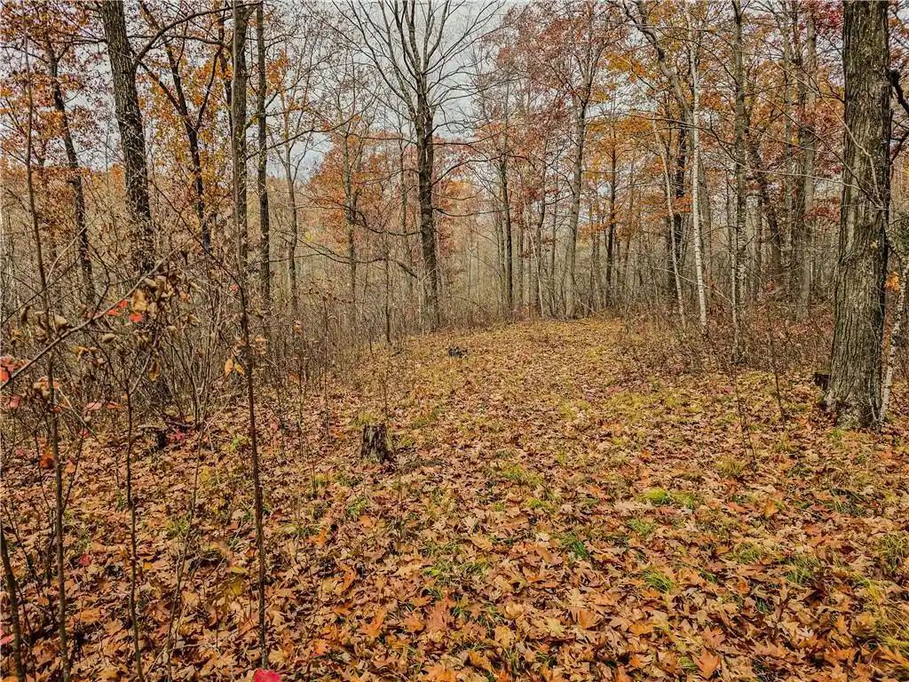 15th image of Xxx County Road D, Colburn, WI 54732 | MLS# 1596710