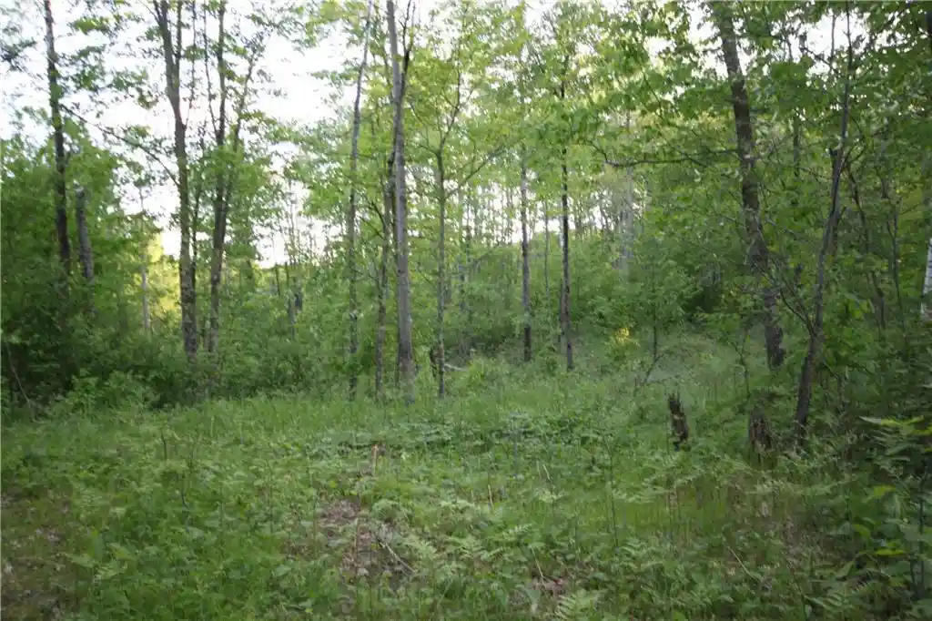 Photo 3 of Land for sale at Lot 1 Timber Wolf Dr Dr, Springbrook, WI 54875 | MLS# 1596740 | Listing updated on 2026-09-22