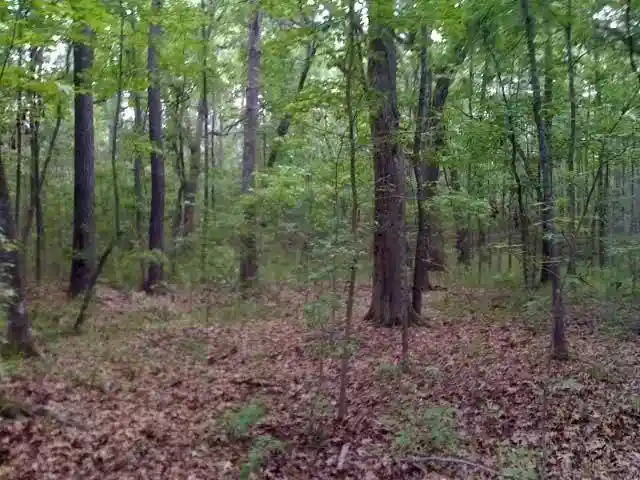 4th image of Lot 34 Half Moon Trail Trail, Danbury, WI 54830 | MLS# 1575630