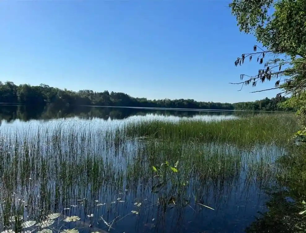 Photo 2 of Land for sale at W76xx Chicog Lake Estate Road, Minong, WI 54888 | MLS# 1578951 | Listing updated on 2026-08-27