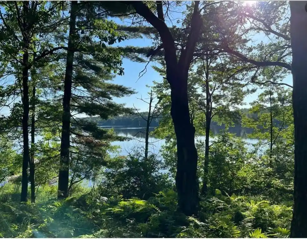 Photo 4 of Land for sale at W76Xx Chicog Lake Estate Road, Minong, WI 54888 | MLS# 1578951 | Listing updated on 2026-08-27