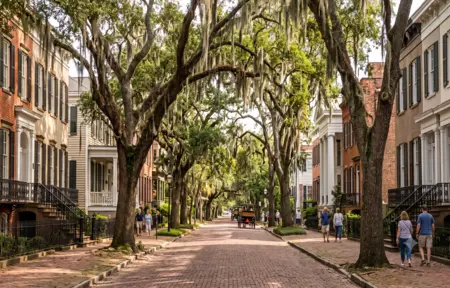 Savannah